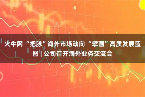 火牛网 “把脉”海外市场动向 “擘画”高质发展蓝图 | 公司召开海外业务交流会