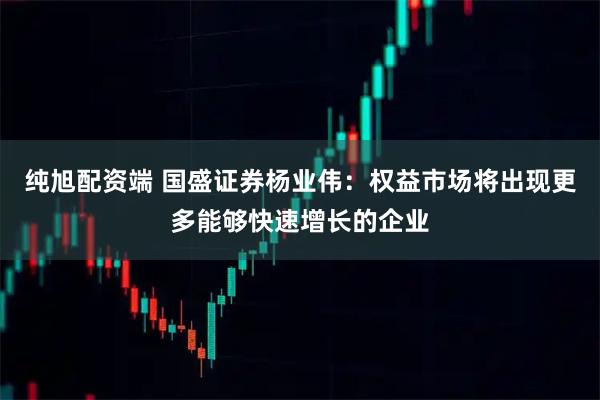 纯旭配资端 国盛证券杨业伟：权益市场将出现更多能够快速增长的企业